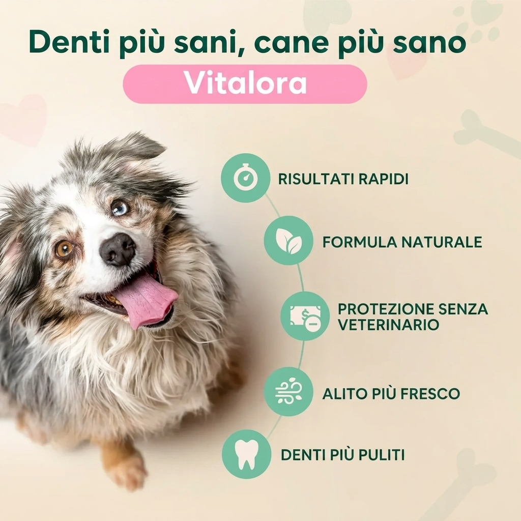 Vitalora™ - Spray per l'Igiene Orale di Cani e Gatti